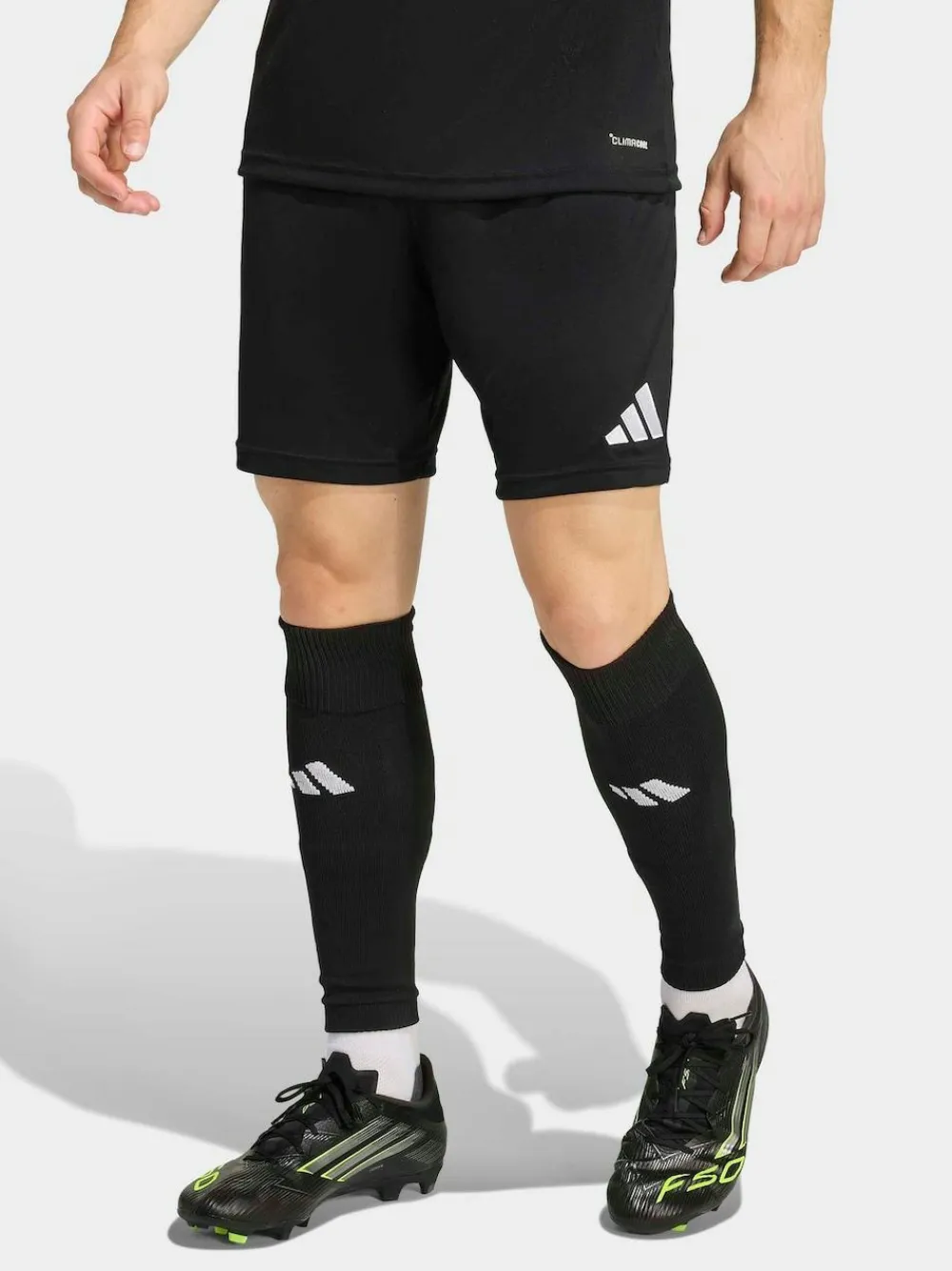 adidas Entrada Shorts^ Shorts
