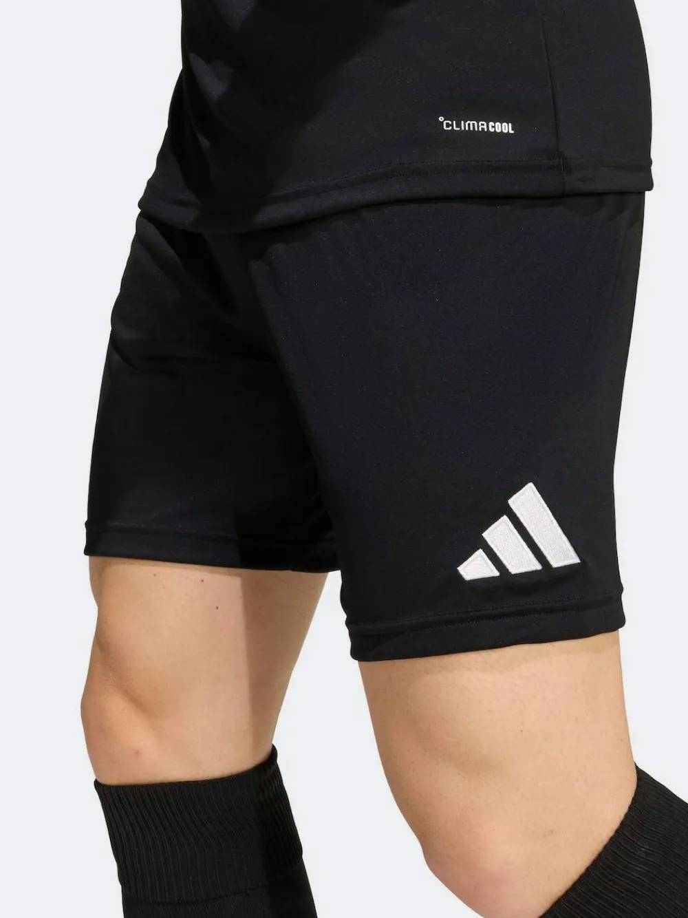 adidas Entrada Shorts^ Shorts