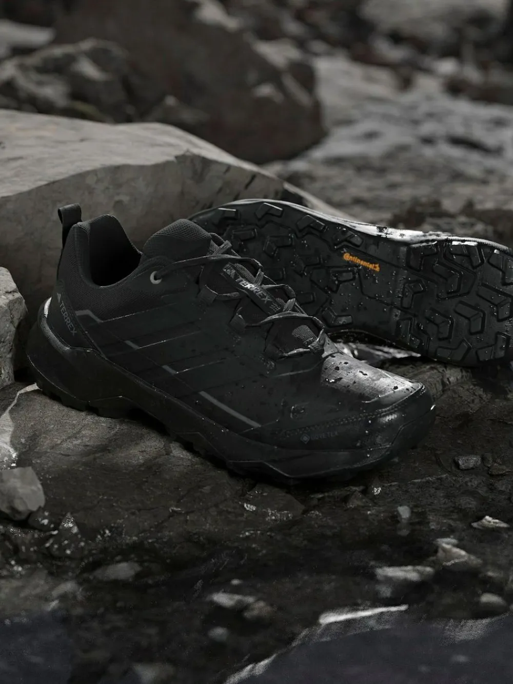 adidas Terrex adidas Terrex Skychaser AX5 GORE-TEX Hiking Trainers^ Sneakers