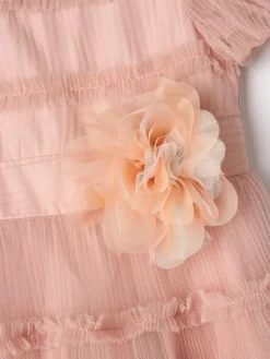 Angel & Rocket Pink Clara Pleated Mesh Corsage Dress^ Occasionwear