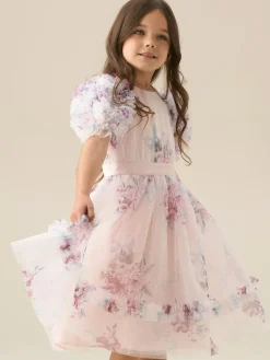 Angel & Rocket Florence Blush Ruffle Sleeve Mesh Dress^ Occasionwear