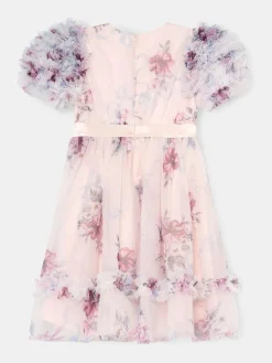 Angel & Rocket Florence Blush Ruffle Sleeve Mesh Dress^ Occasionwear