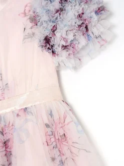 Angel & Rocket Florence Blush Ruffle Sleeve Mesh Dress^ Occasionwear