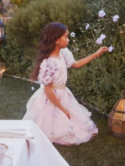 Angel & Rocket Florence Blush Ruffle Sleeve Mesh Dress^ Occasionwear