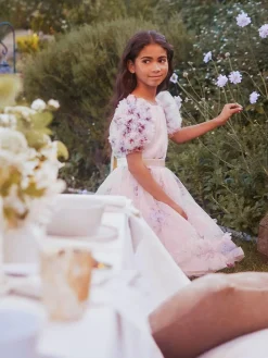 Angel & Rocket Florence Blush Ruffle Sleeve Mesh Dress^ Occasionwear