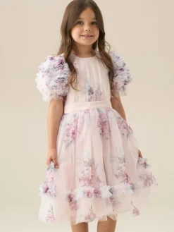 Angel & Rocket Florence Blush Ruffle Sleeve Mesh Dress^ Occasionwear