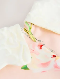 Baker by Ted Baker Lace Collared Ponte Dress^ Dresses|Dresses