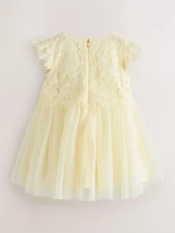 Baker by Ted Baker Lace Mesh Dress^ Occasionwear