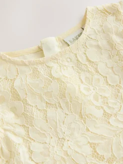 Baker by Ted Baker Lace Mesh Dress^ Occasionwear