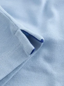 Next Blue Bear Short Sleeve Polo Shirt (3mths-7yrs)