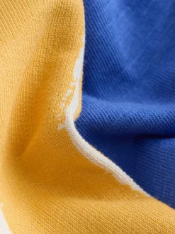 Online Next Short Sleeve T-Shirt and Shorts Set (3mths-7yrs) Blue Dinosaur