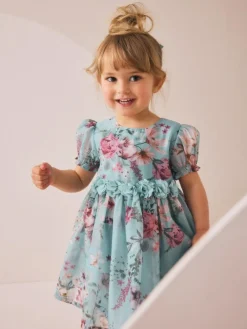 Next Flower Corsage Dress (3mths-8yrs)^ Dresses|Occasionwear