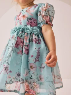 Next Flower Corsage Dress (3mths-8yrs)^ Dresses|Occasionwear