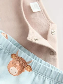 Next Baby Sweatshirt and Leggings Set (0mths-3yrs) Blue Hamish