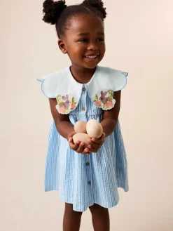 Next Collared Summer Dress (3mths-7yrs) Blue Striped