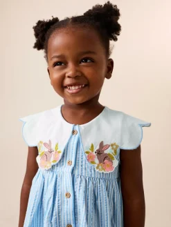 Next Collared Summer Dress (3mths-7yrs) Blue Striped