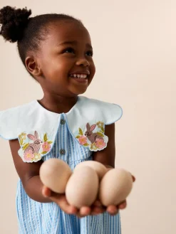 Next Collared Summer Dress (3mths-7yrs) Blue Striped