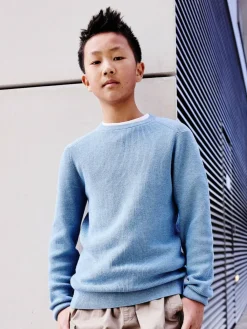 Best Next Blue Without Stag Cotton Crew Neck Knitted Jumper (3-16yrs)