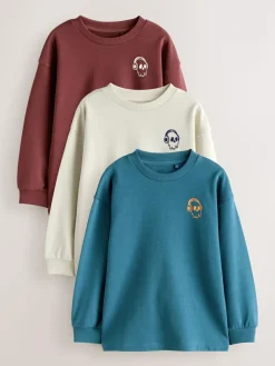 New Next Relaxed Fit Long Sleeve Heavyweight T-Shirts 3 Pack (3-16yrs) Blue/Berry/Ecru Graphic