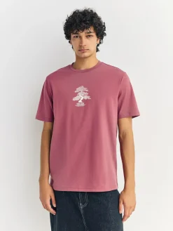 Next Blue/Green/Pink Regular Fit Graphic Print T-Shirts 3 Pack^ Tops & T-Shirts