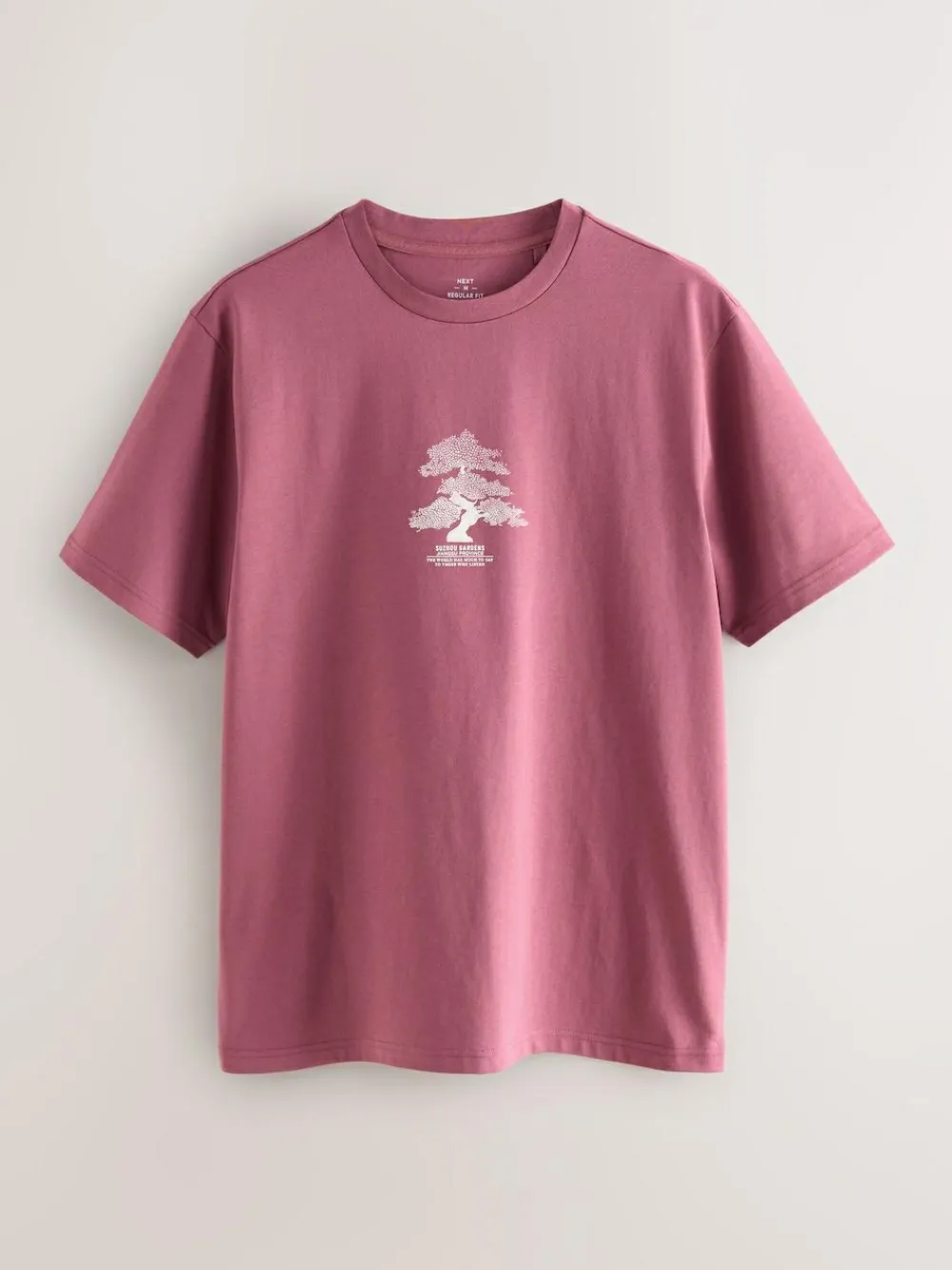 Next Blue/Green/Pink Regular Fit Graphic Print T-Shirts 3 Pack^ Tops & T-Shirts