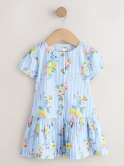 Next Short Sleeve Cotton Dress (3mths-8yrs) Blue/White Stripe Floral