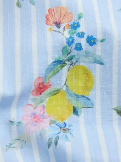 Next Short Sleeve Cotton Dress (3mths-8yrs) Blue/White Stripe Floral