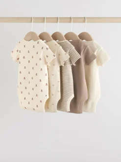 Clearance Next Brown Bear Short Sleeve Baby Bodysuits 5 Pack