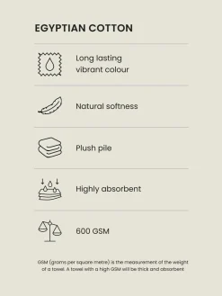 Next Brown Egyptian Cotton Towel