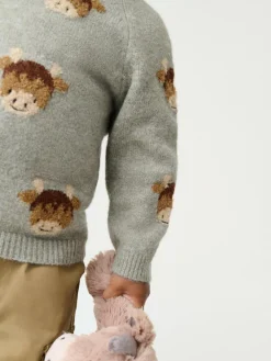 Clearance Next Knitted Crew Neck Jumper (3mths-7yrs) Brown Hamish