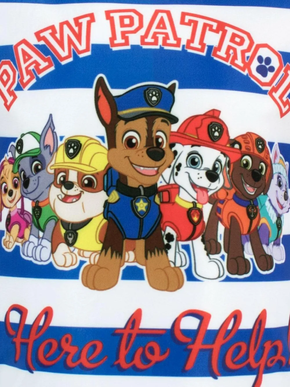 Character Blue White Paw Patrol Swim Set^BOY Swimwear