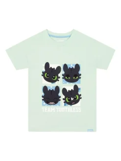 Character Green How To Train Your Dragon Toothless T-Shirt^ T-Shirts