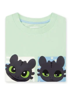 Character Green How To Train Your Dragon Toothless T-Shirt^ T-Shirts