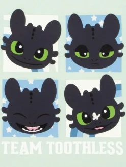 Character Green How To Train Your Dragon Toothless T-Shirt^ T-Shirts