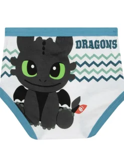 New Character Green How To Train Your Dragon Boys underwear (5 Pack)