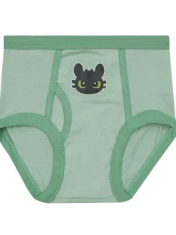 New Character Green How To Train Your Dragon Boys underwear (5 Pack)