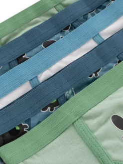 New Character Green How To Train Your Dragon Boys underwear (5 Pack)