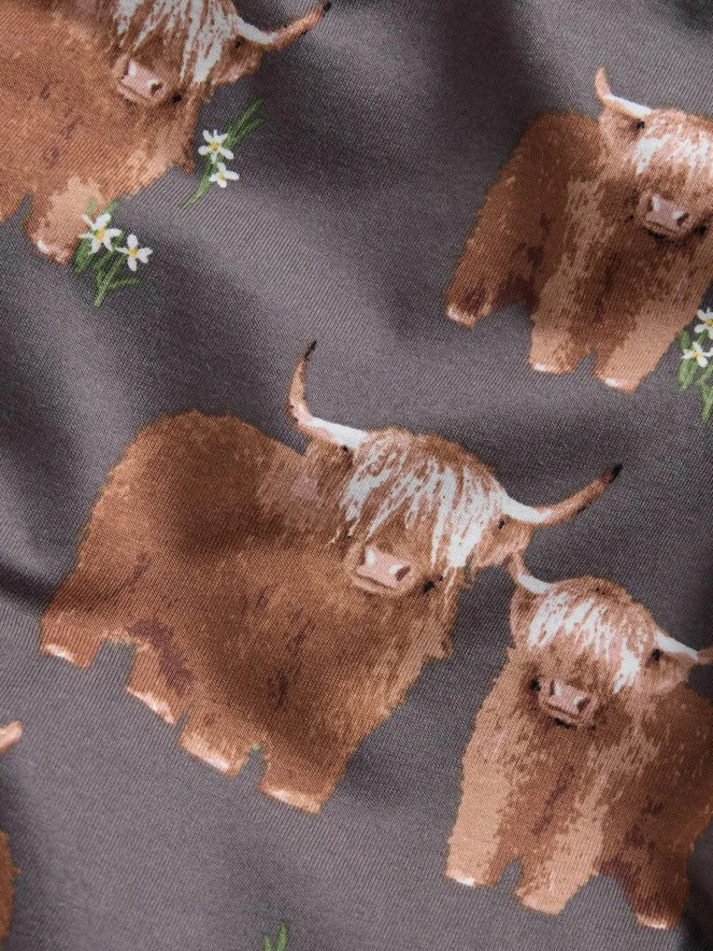 Next Charcoal Grey Hamish The Highland Cow Long Sleeve Pyjamas