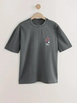 Sale Next Relaxed Fit Artist License T-Shirt Charcoal Grey Hiroshige