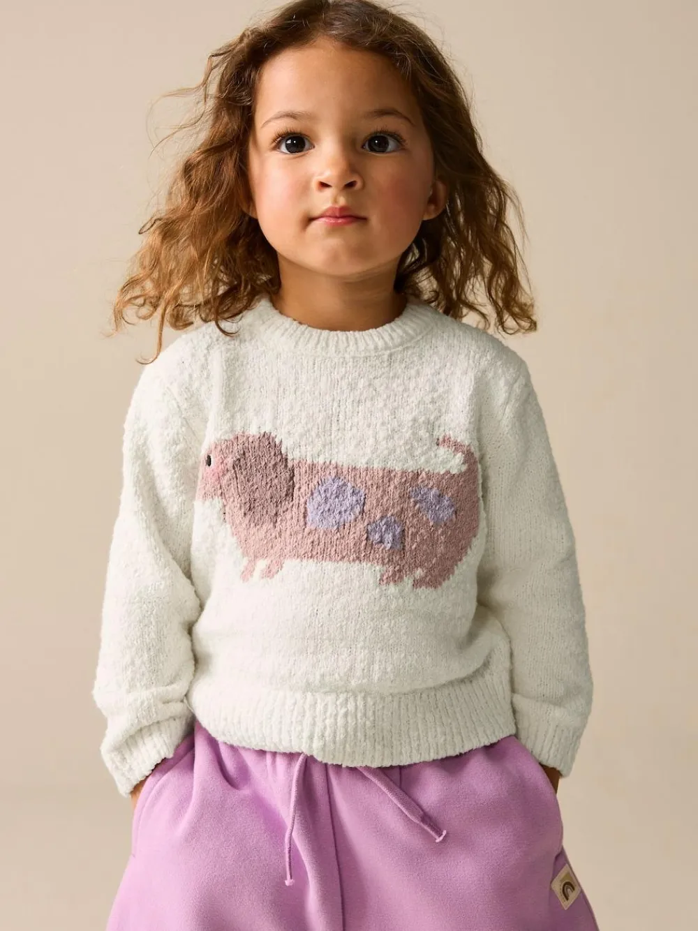 Next Ecru Sausage Dog Jumper (3mths-7yrs)^ Knitwear|Knitwear