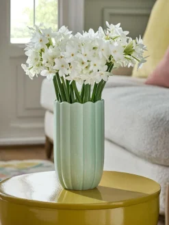 Next Green Ceramic Scallop Detail Small Vase^ Vases