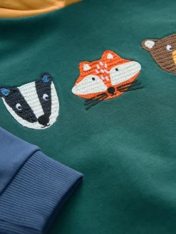 Next Green Colourblock Long Sleeve Printed Hoodie (3mths-7yrs)^BOY Sweatshirts & Hoodies|Sweatshirts & Hoodies