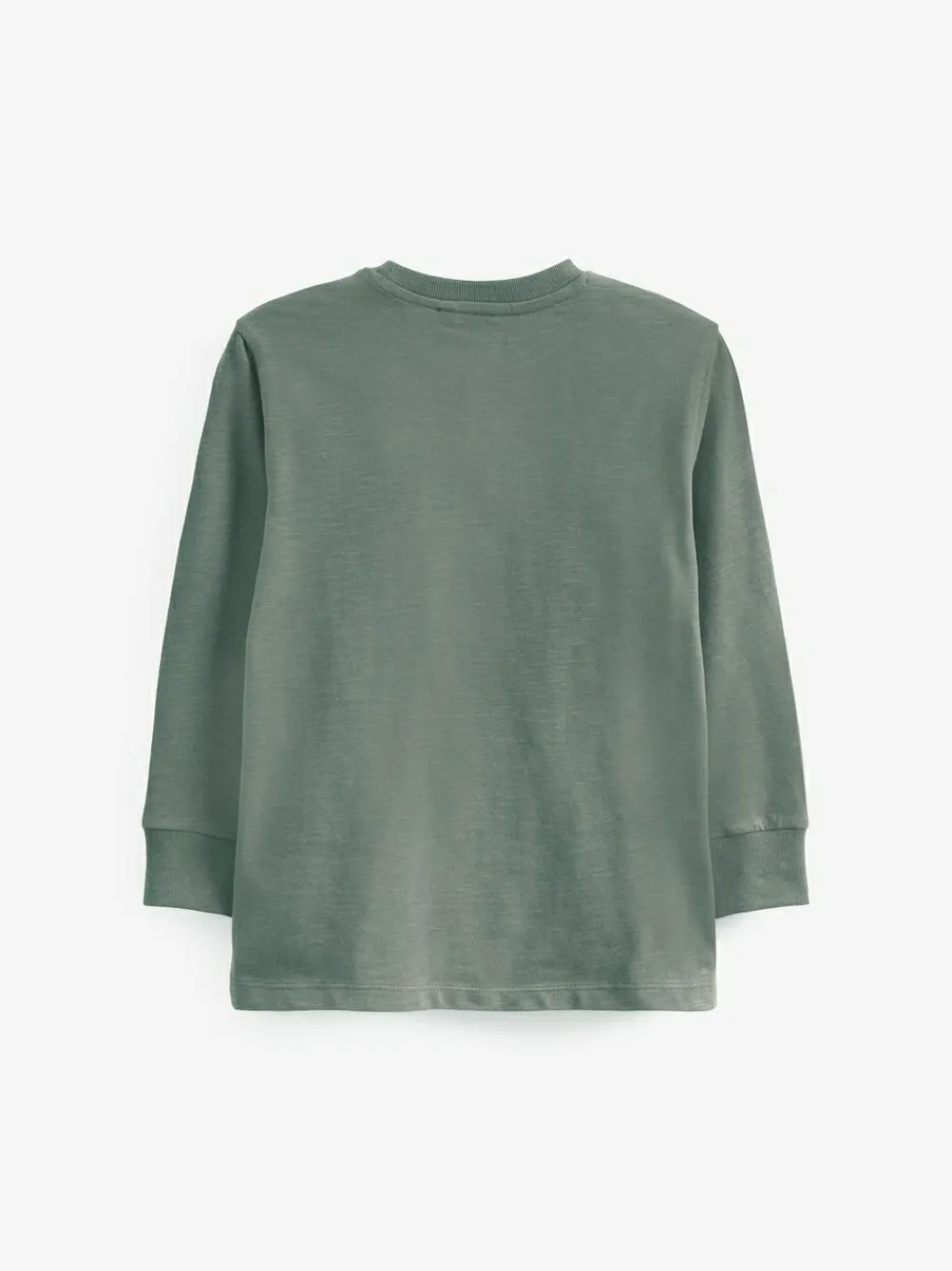 Discount Next Green Mineral Regular Fit Long Sleeve Cosy T-Shirt (3-16yrs)