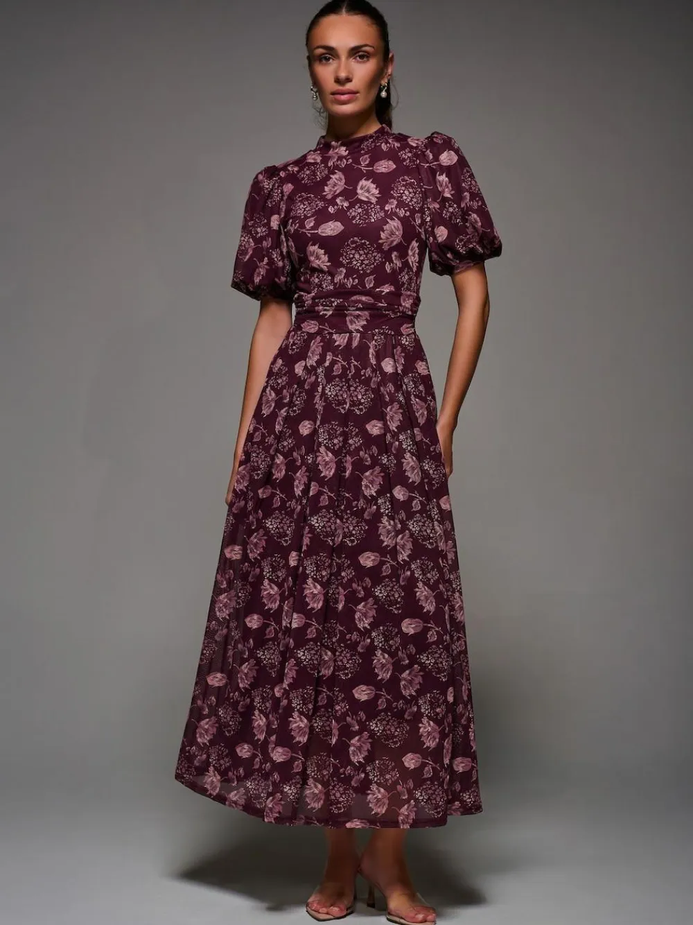 Online Jolie Moi Puffy Sleeve Printed Mesh Maxi Dress Red