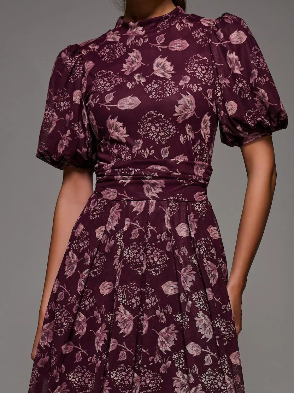 Online Jolie Moi Puffy Sleeve Printed Mesh Maxi Dress Red