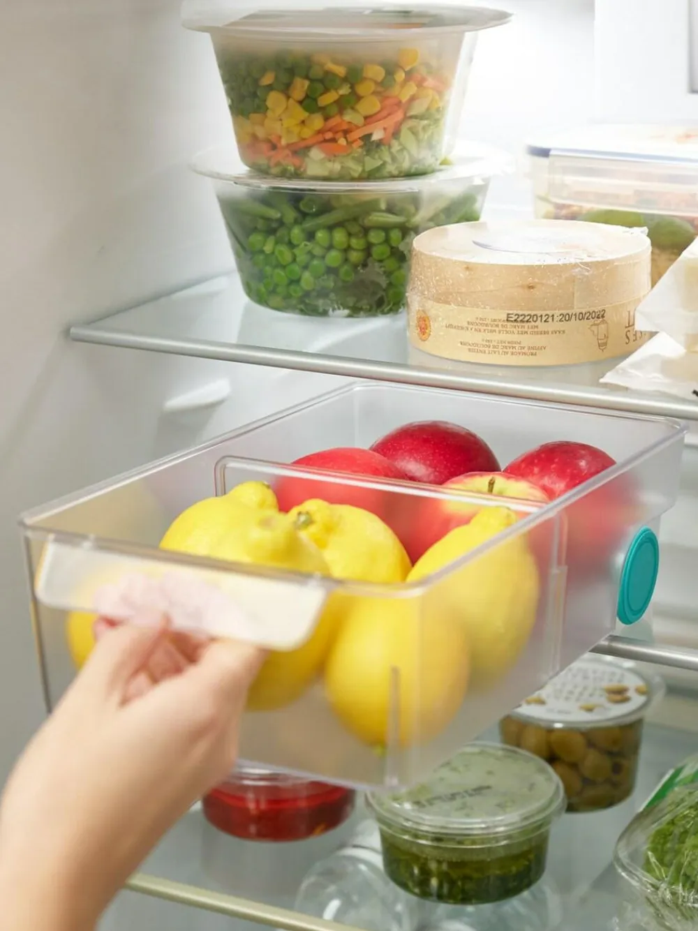 Clearance Joseph Joseph Blue FridgeStore Large Storage Bin