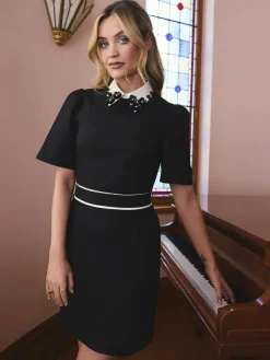 Online Love & Roses Black Crepe Floral Embroidered Collared Mini Dress