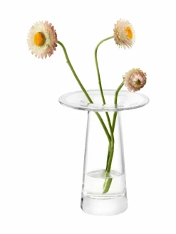 Hot LSA International Victoria Vase H15cm Clear