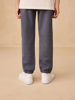 Next Premium Regular Fit Joggers (3-16yrs)^BOY Joggers|Sweat Pants