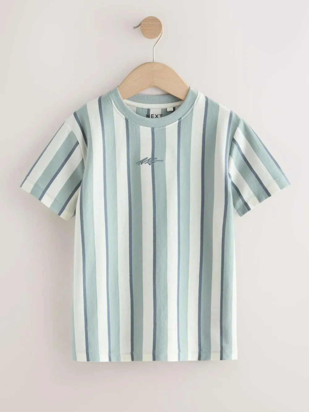Next Mineral Stripe Regular Fit Short Sleeve Graphic Print T-Shirt (3-16yrs)^BOY Tops|T-Shirts